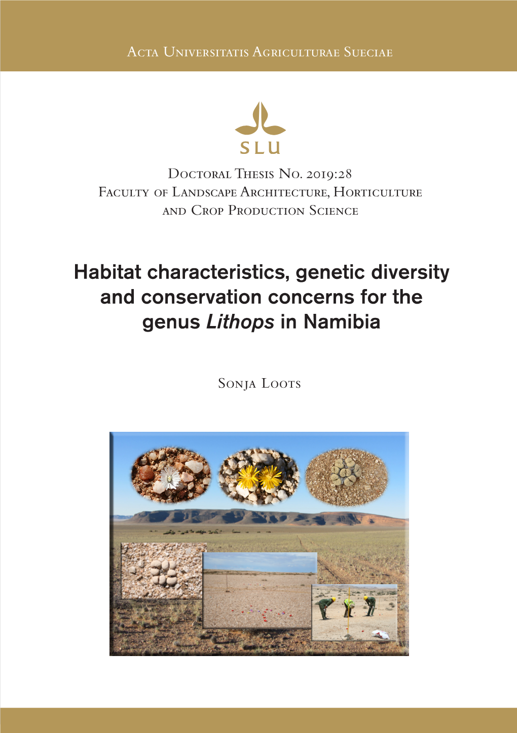 Habitat Characteristics, Genetic Diversity and Conservation Concerns for the Genus Lithops in Namibia