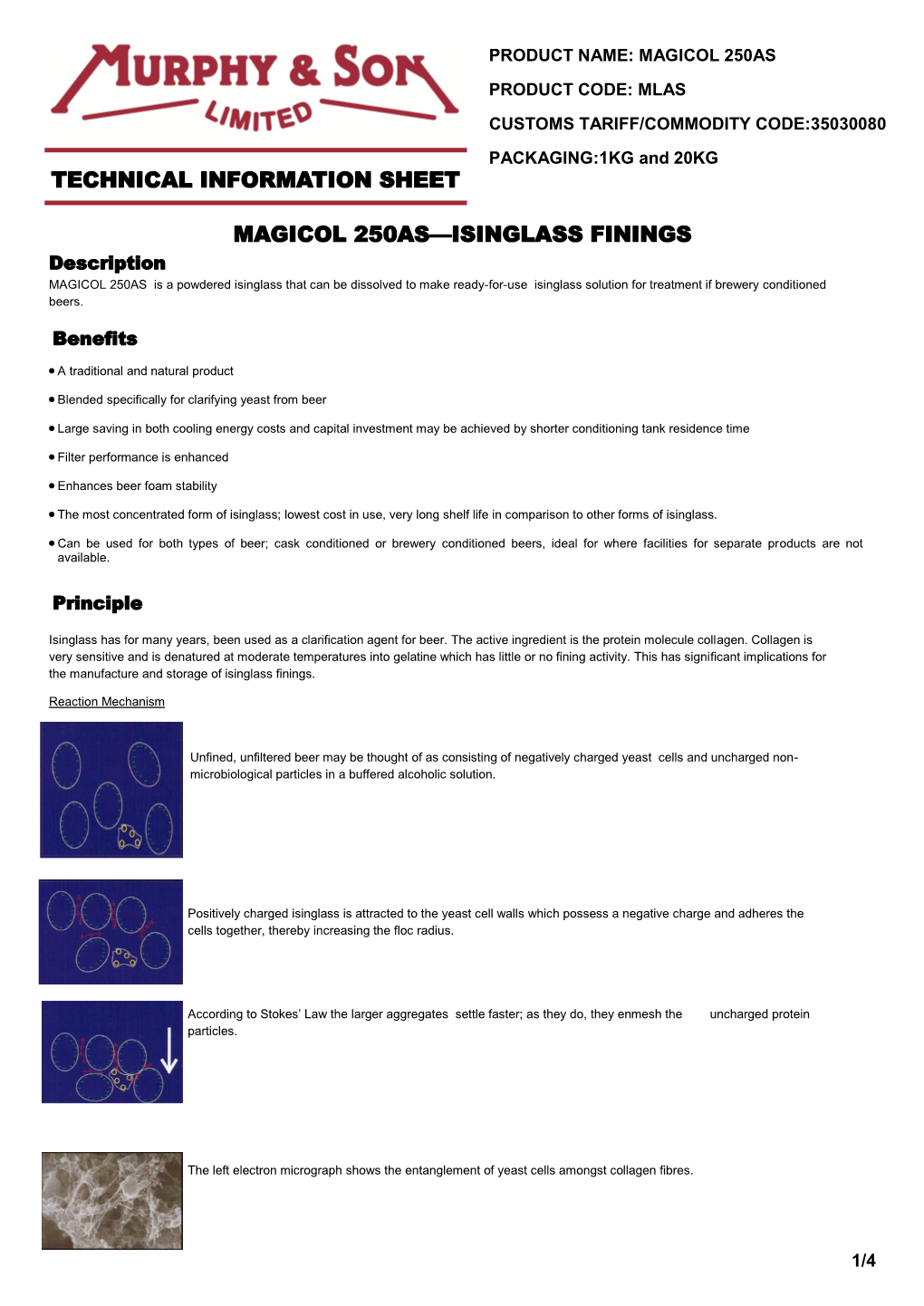 Technical Information Sheet Magicol 250As—Isinglass