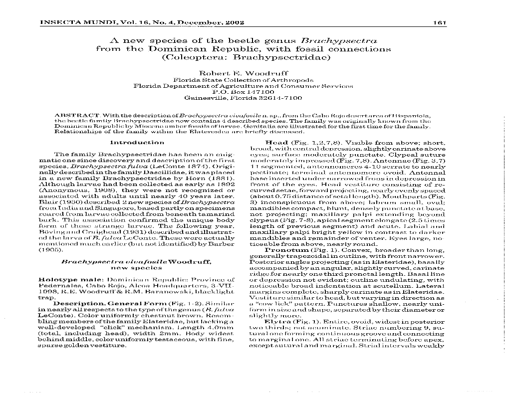 A New Species of the Beetle Genus Brachypsectra from the Dominican Republic, with Fossil Connections (Coleoptera: Brachypsectridae)