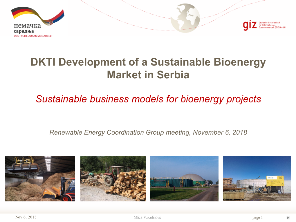 DKTI Development of a Sustainable Bioenergy Market in Serbia