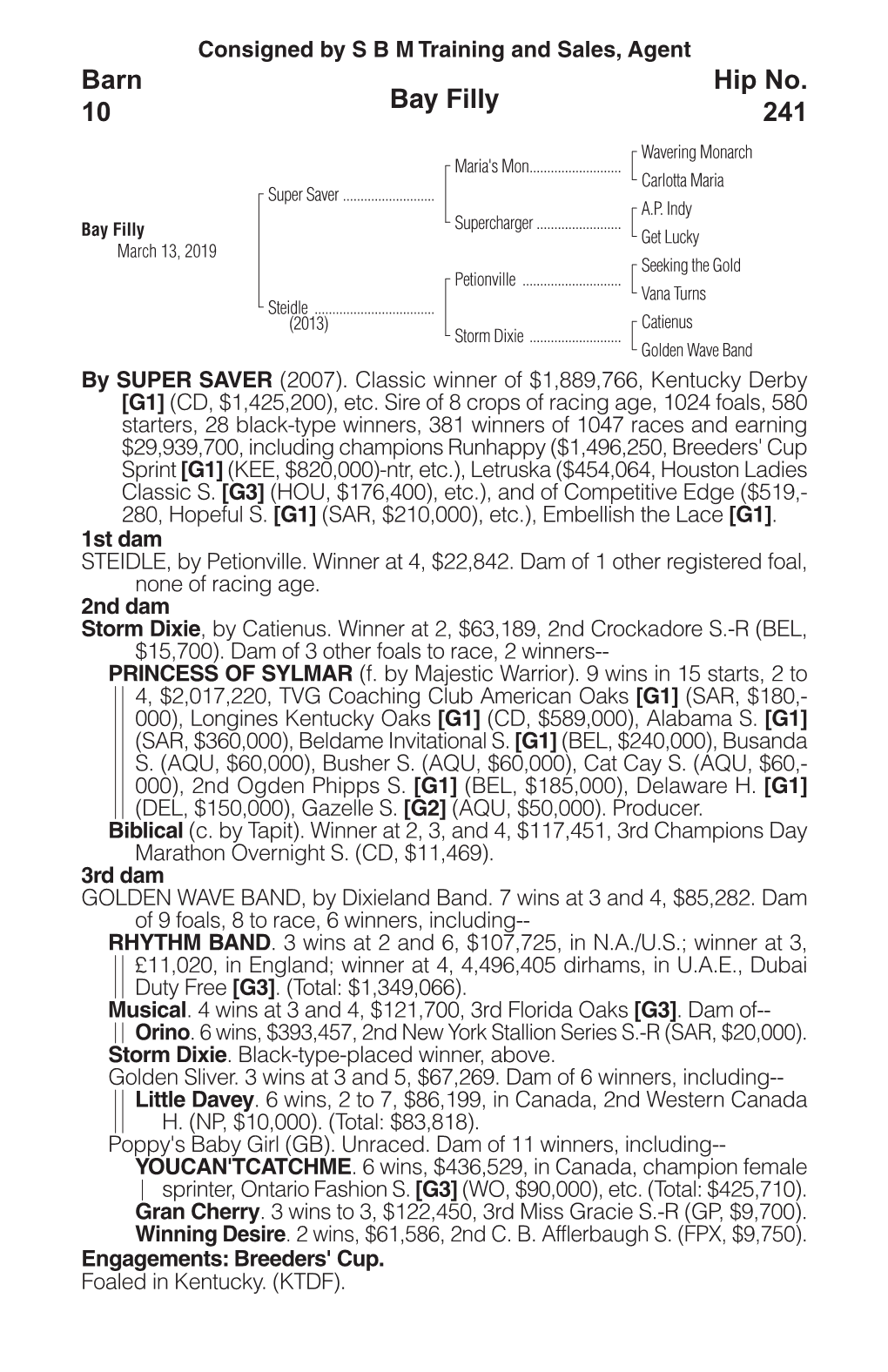 Bay Filly Barn 10 Hip No