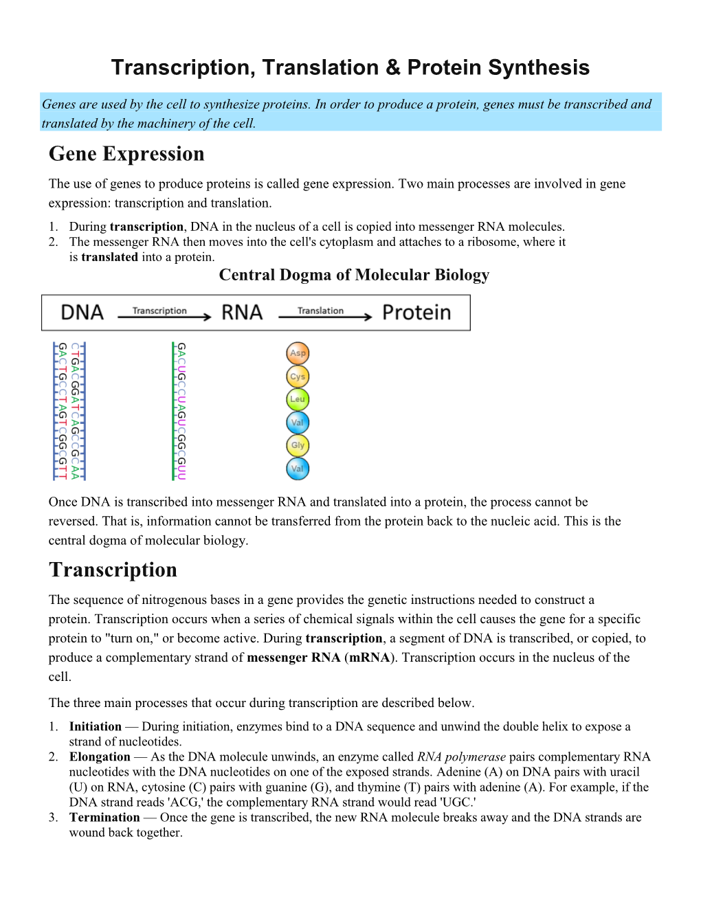 Transcription, Translation & Protein Synthesis Gene Expression