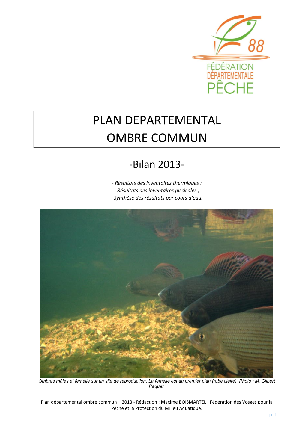 Plan Departemental Ombre Commun