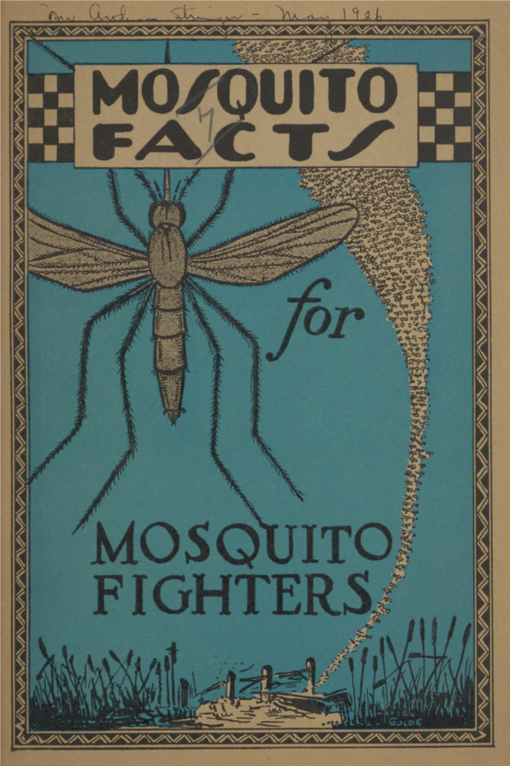 Mosquito Facts for Mosquito Fighters