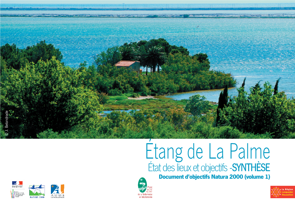 Étang De La Palme État Des Lieux Et Objectifs -SYNTHÈSE Document D’Objectifs Natura 2000 (Volume 1)