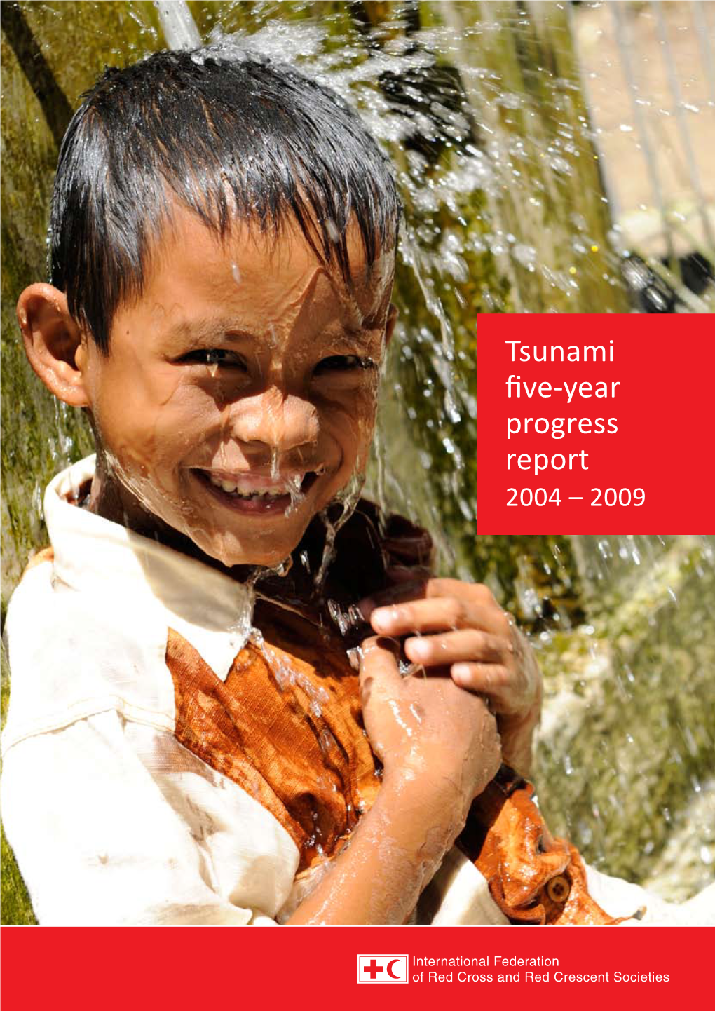 Tsunami Five-Year Progress Report 2009 | 