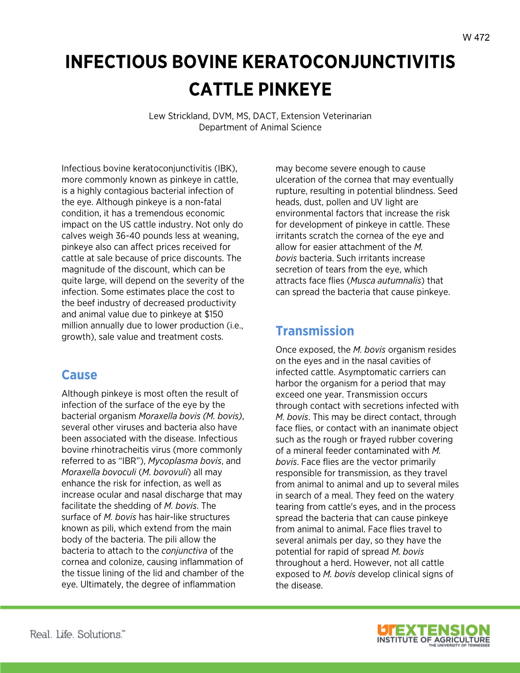 Infectious Bovine Keratoconjunctivitis Cattle Pinkeye