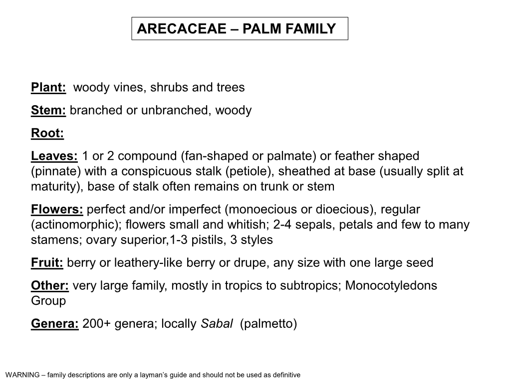 Arecaceae – Palm Family