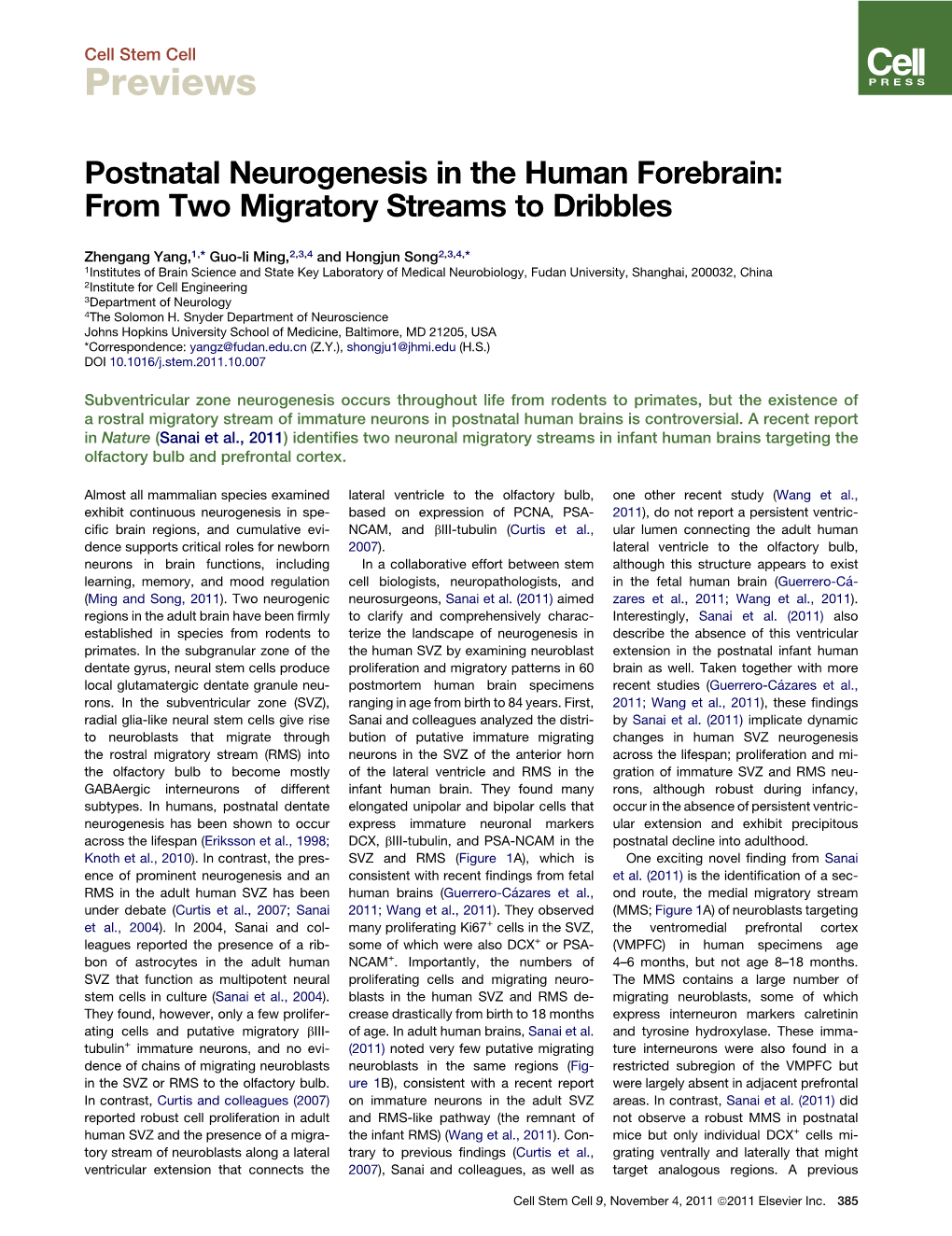 Postnatal Neurogenesis in the Human Forebrain: from Two Migratory Streams to Dribbles