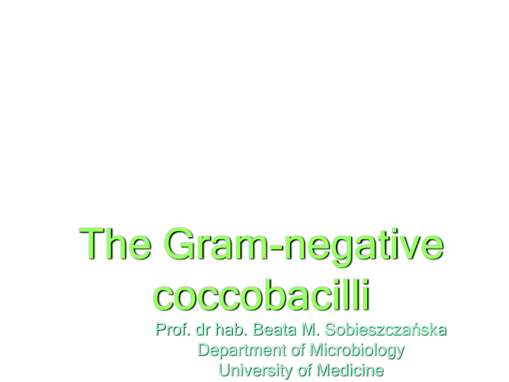 Gram-Negative Small Rods