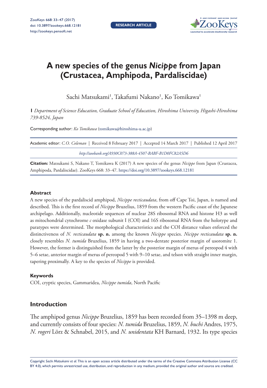 A New Species of the Genus Nicippe from Japan (Crustacea, Amphipoda, Pardaliscidae)