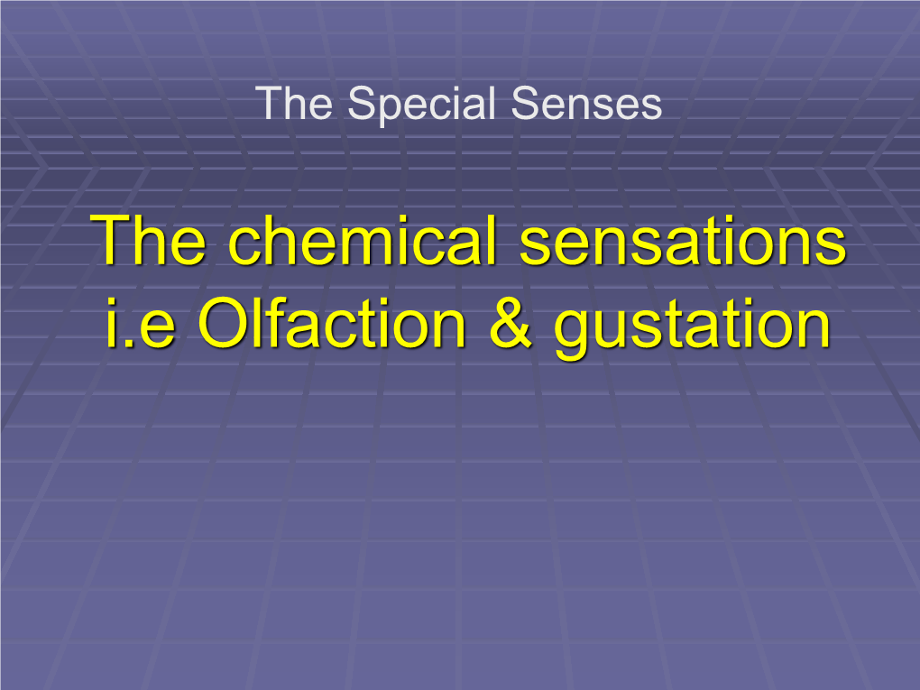 Olfaction and Taste-Slide