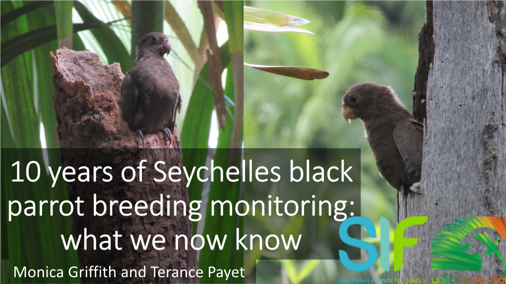 10 Years of Seychelles Black Parrot Breeding Monitoring