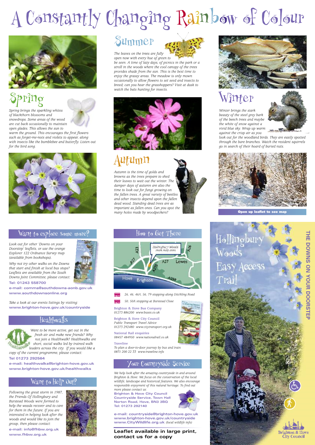 Hollingbury Woods Easy Access Trail Leaflet