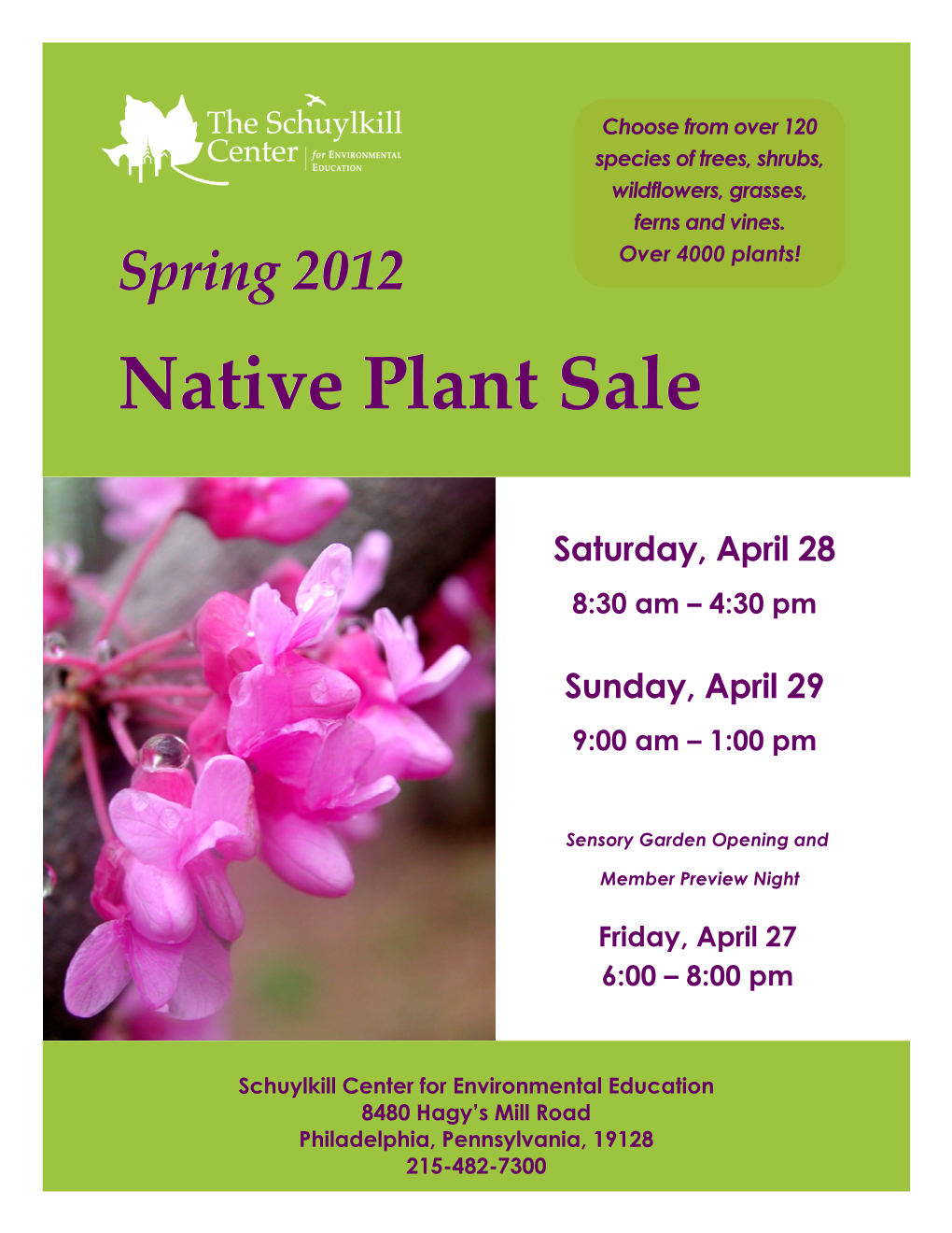 Native Plant Sale