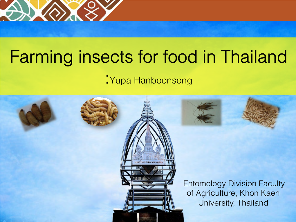 Farming Insects for Food in Thailand :Yupa Hanboonsong