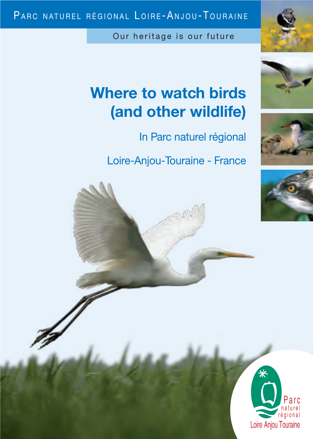 Where to Watch Birds (And Other Wildlife)