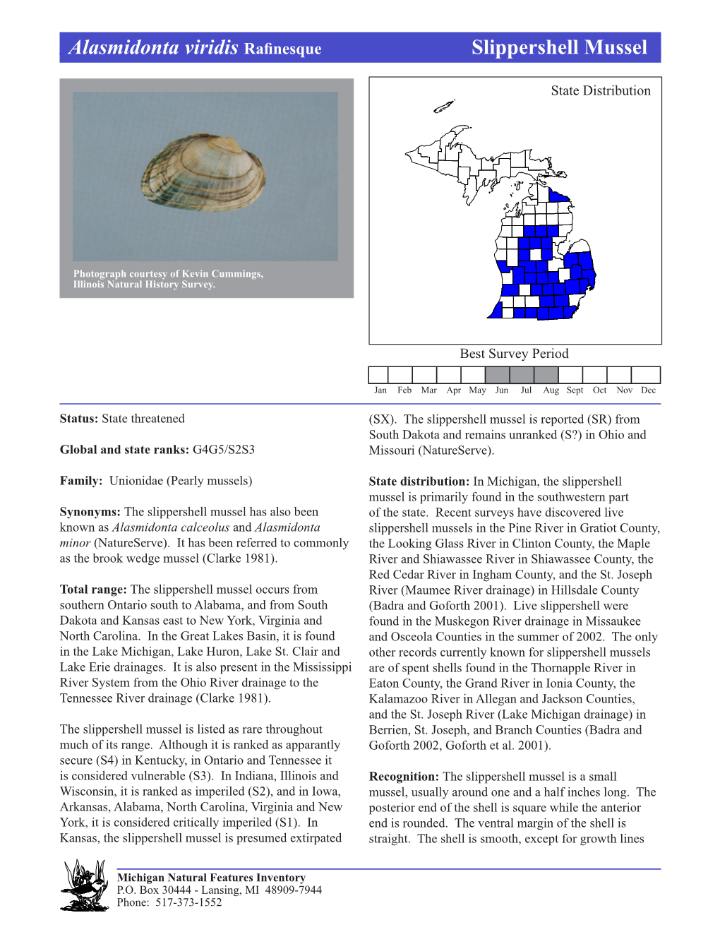 Alasmidonta Viridis Rafinesque Slippershellslippershell Mussel Mussel, Page 