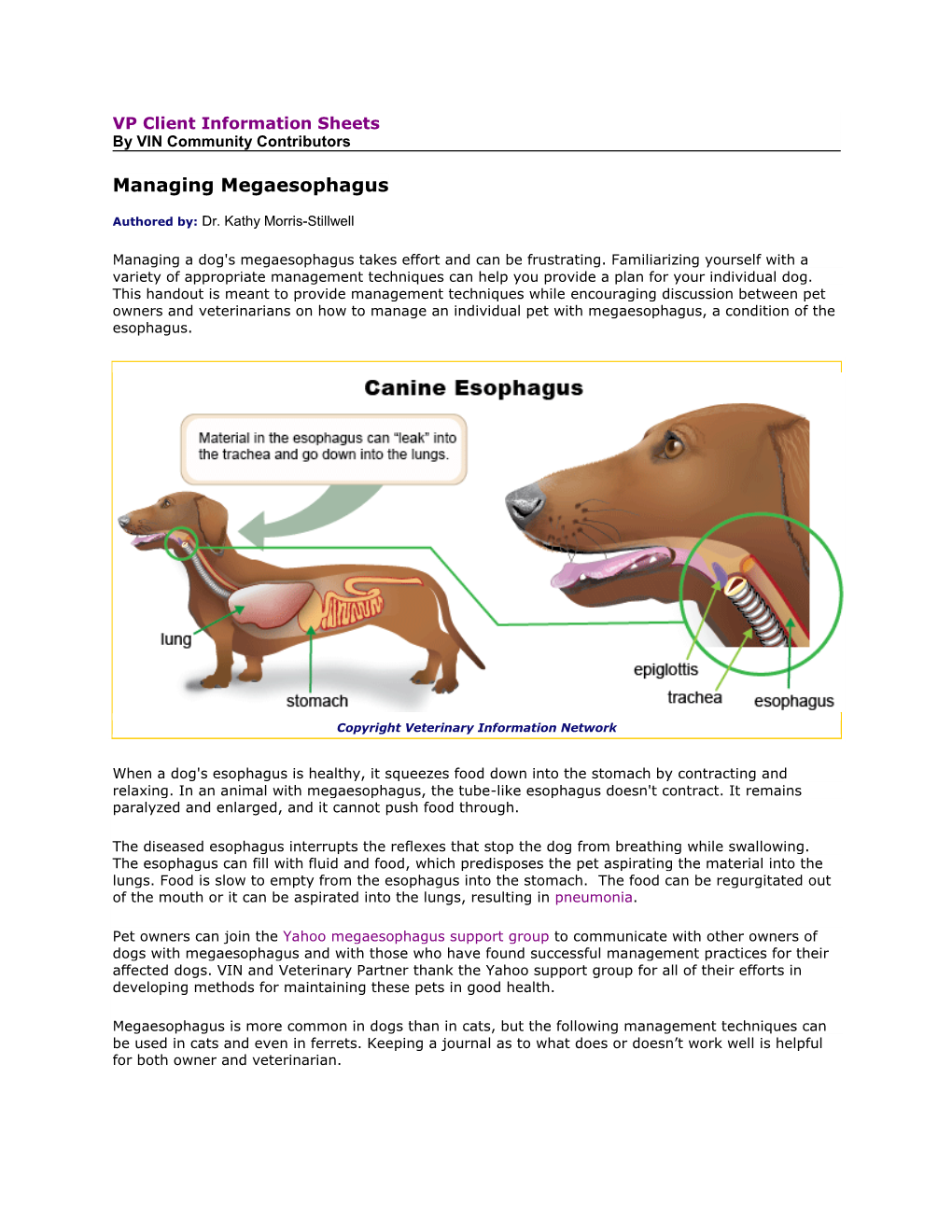 Managing Megaesophagus