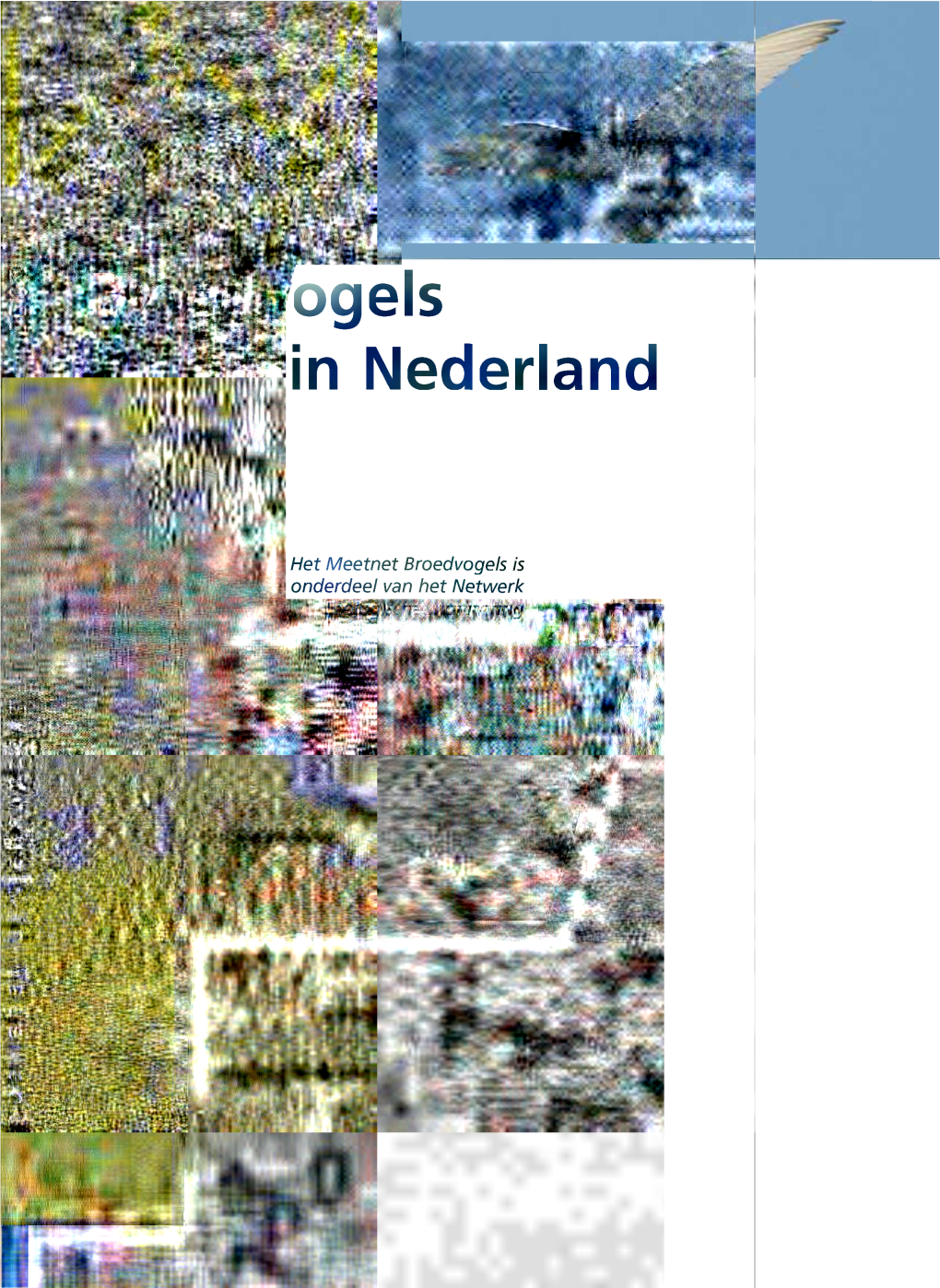 Ogels in Nederland