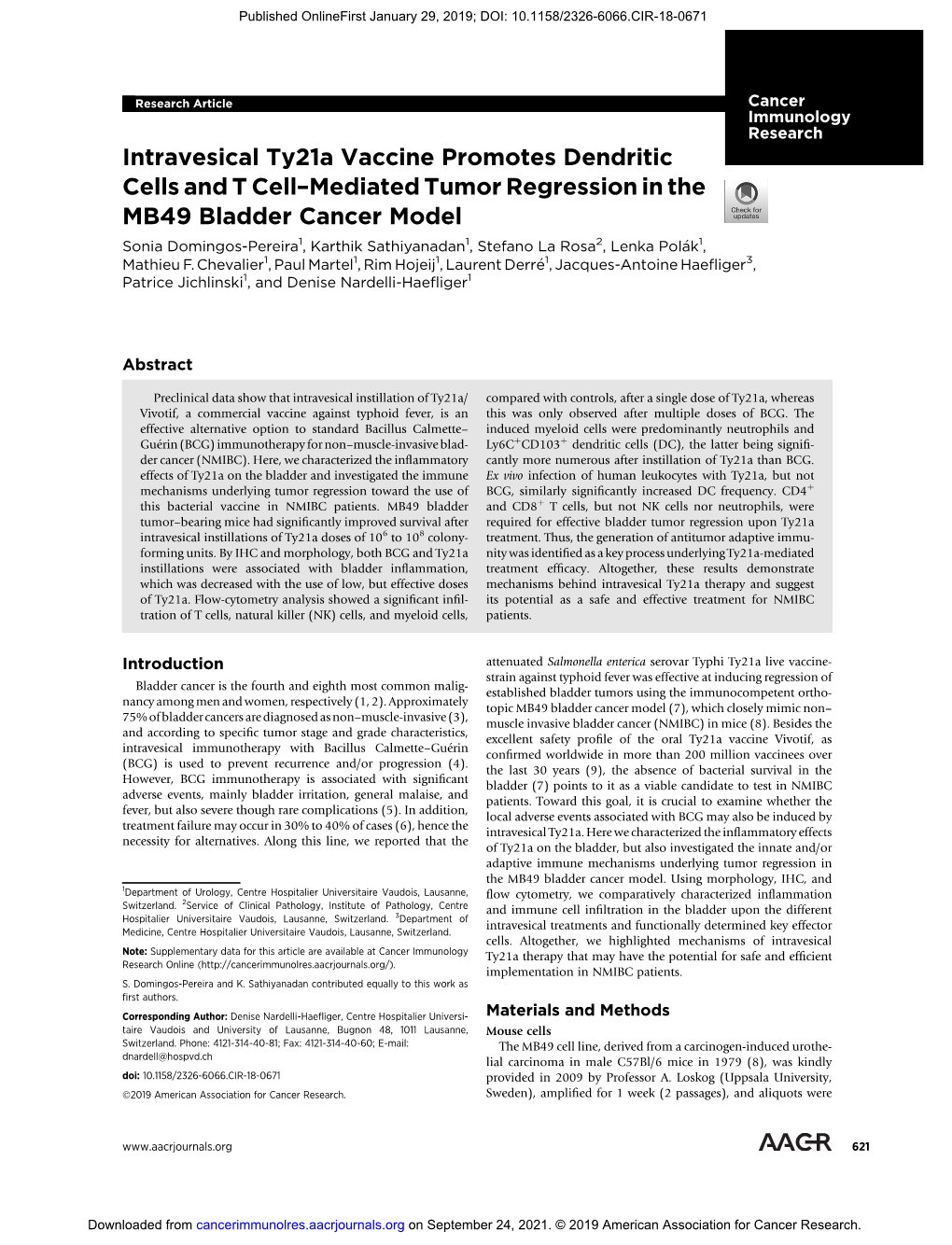 Intravesical Ty21a Vaccine Promotes Dendritic Cells and T Cell