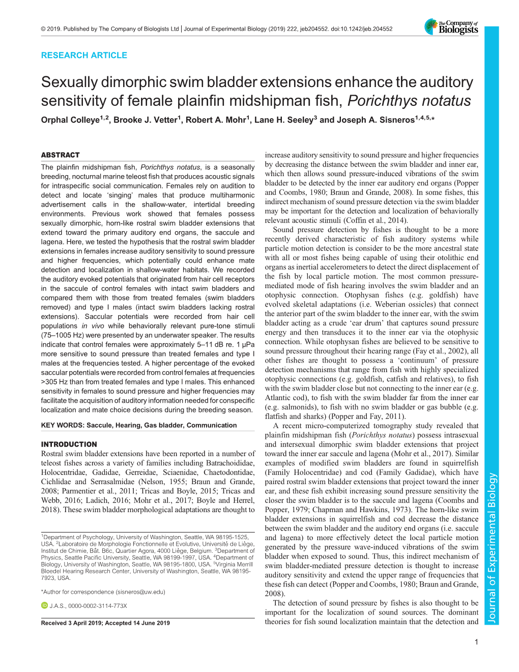 Sexually Dimorphic Swim Bladder Extensions Enhance the Auditory Sensitivity of Female Plainfin Midshipman Fish, Porichthys Notatus Orphal Colleye1,2, Brooke J