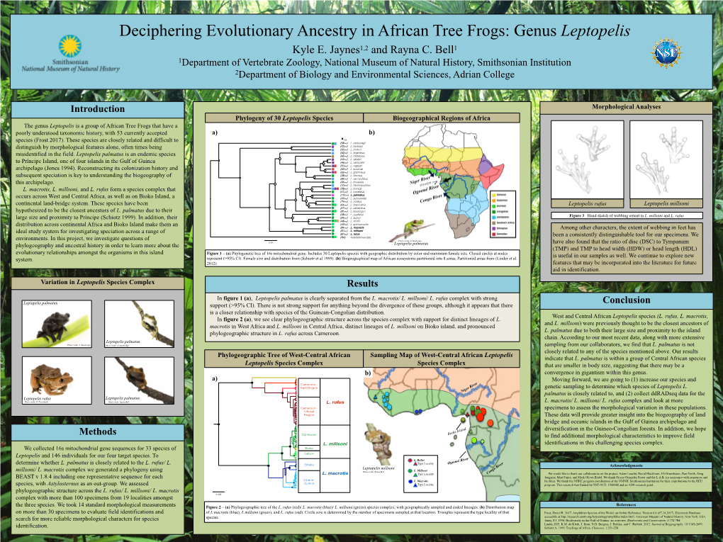 Deciphering Evolutionary Ancestry in African Tree Frogs: Genus Leptopelis Kyle E