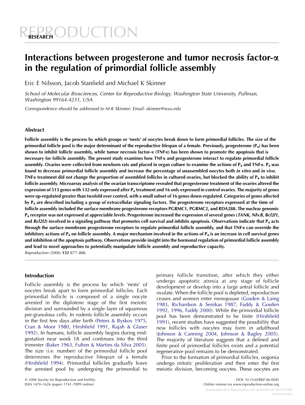 Interactions Between Progesterone and Tumor Necrosis Factor-A in the Regulation of Primordial Follicle Assembly