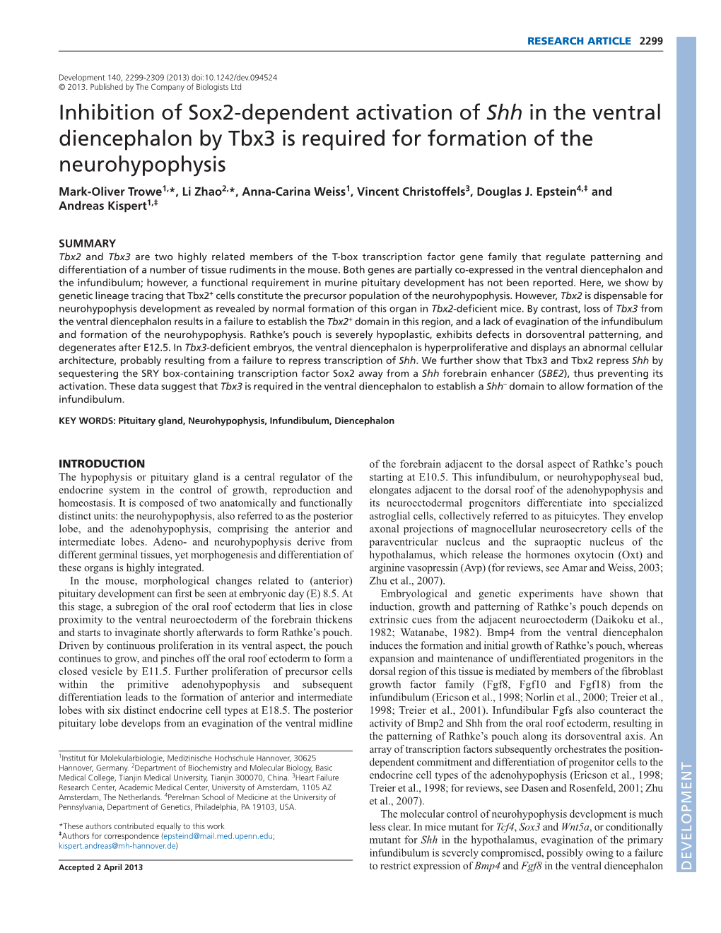 Inhibition of Sox2-Dependent Activation of Shh in the Ventral