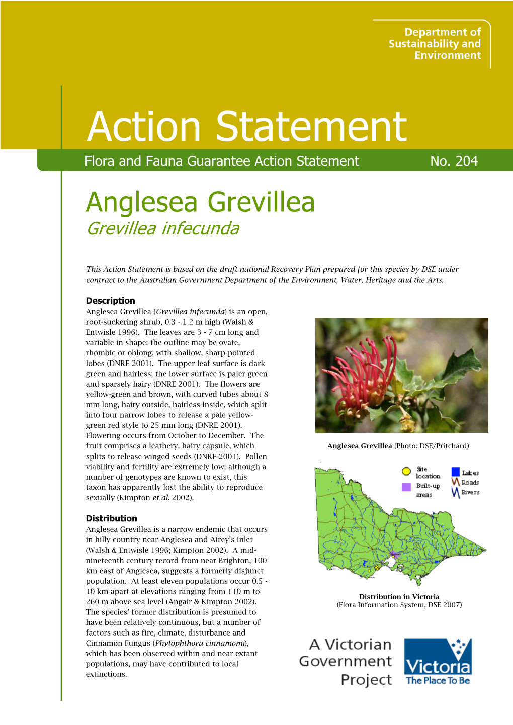 Anglesea Grevillea