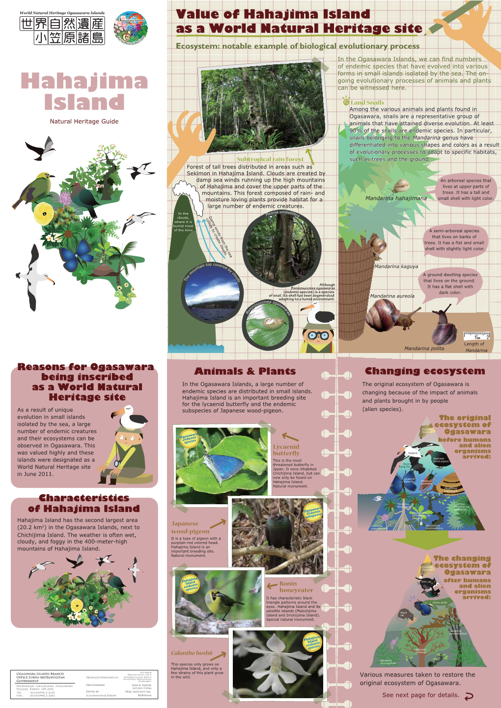 Hahajima Island As a World Natural Heritage Site Ecosystem: Notable Example of Biological Evolutionary Process