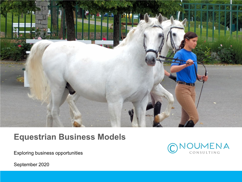 Equestrian Business Models
