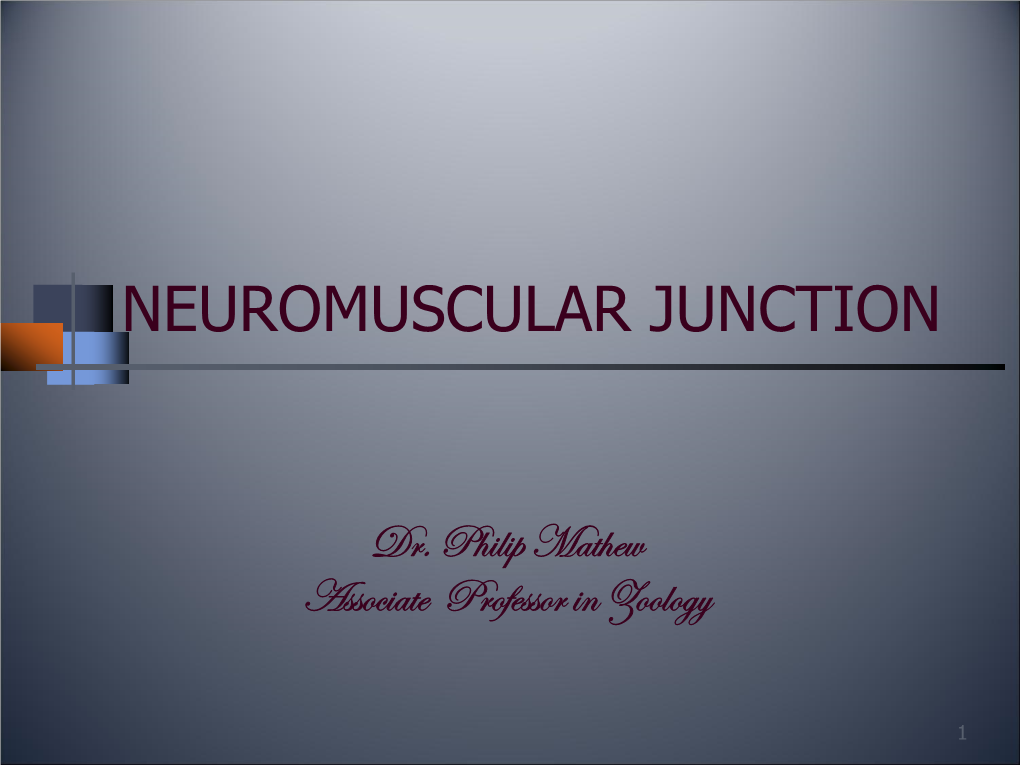 Neuromuscular Junction