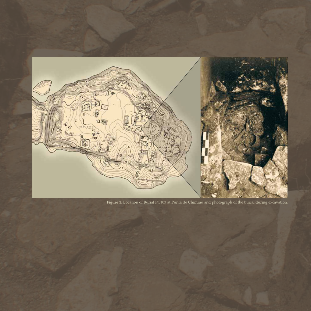 Strontium Isotopic Identification of an Early Classic Migrant to Punta De Chimino, Guatemala