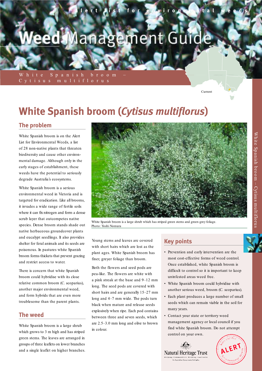 Weed Management Guide • White Spanish Broom – Cytisus Multiflorus 3 3 M