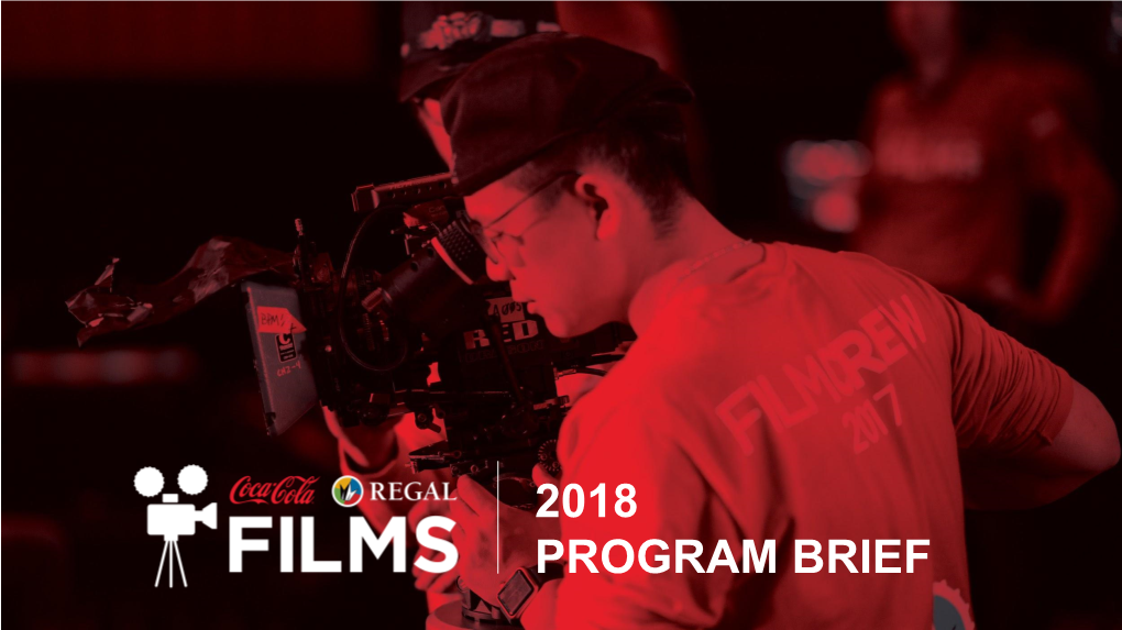 2018 Program Brief Lights