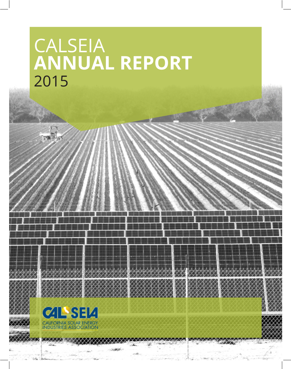 Calseia Annual Report 2015 2