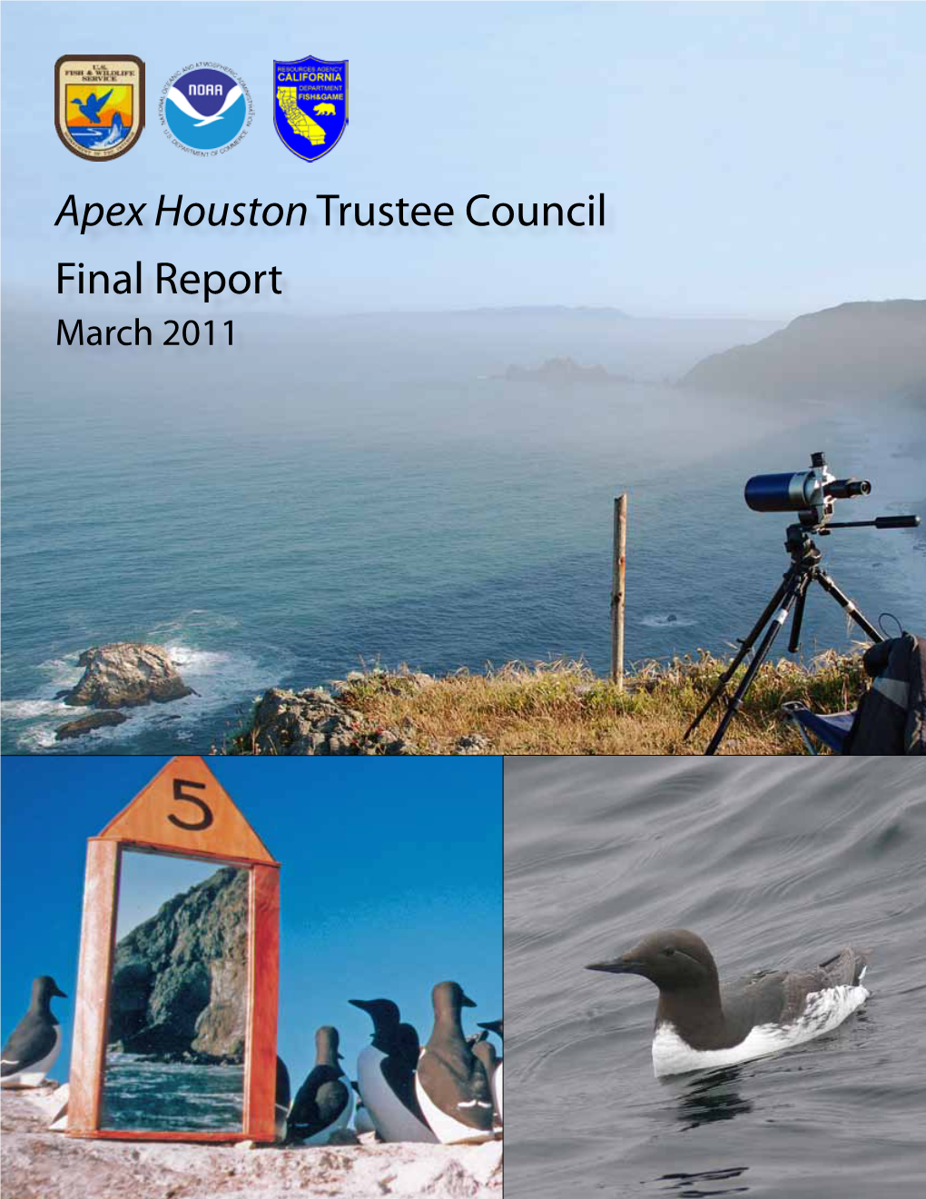 Apex Houston Trustee Council Final Report