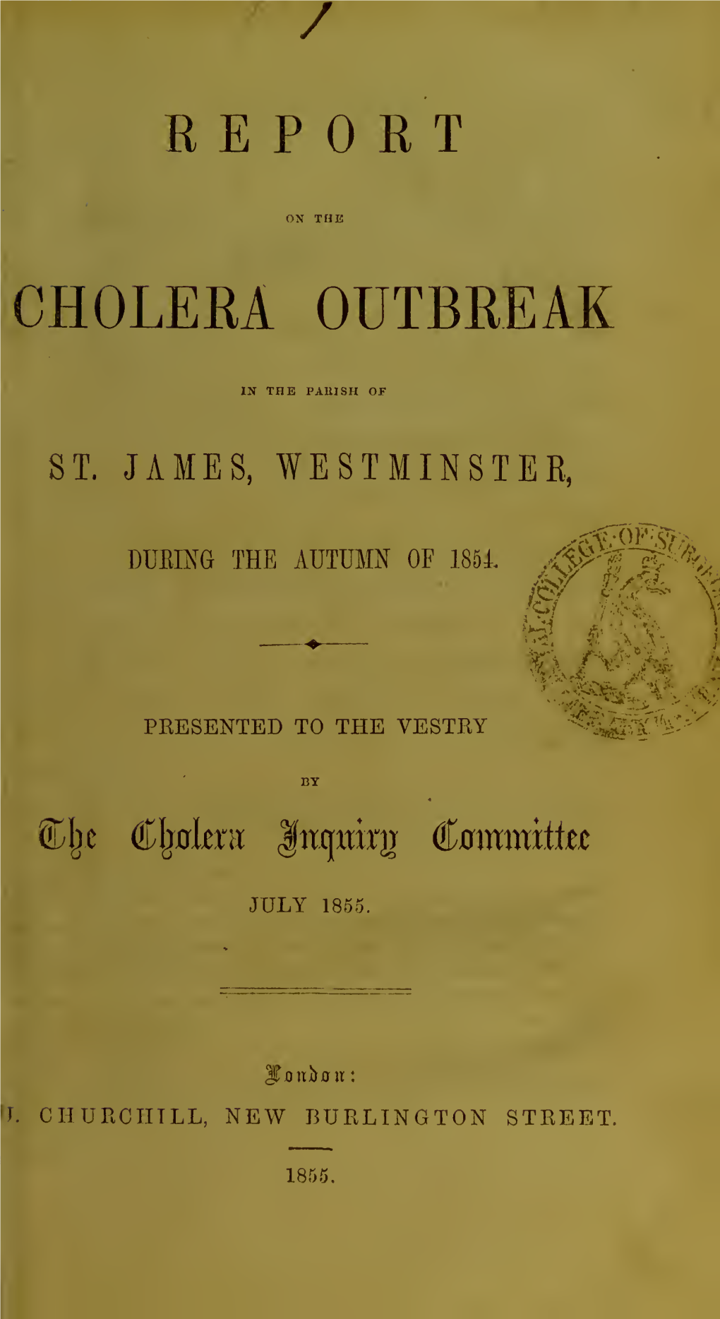 Report on the Cholera Outbreak in the Parish of St. James, Westminster