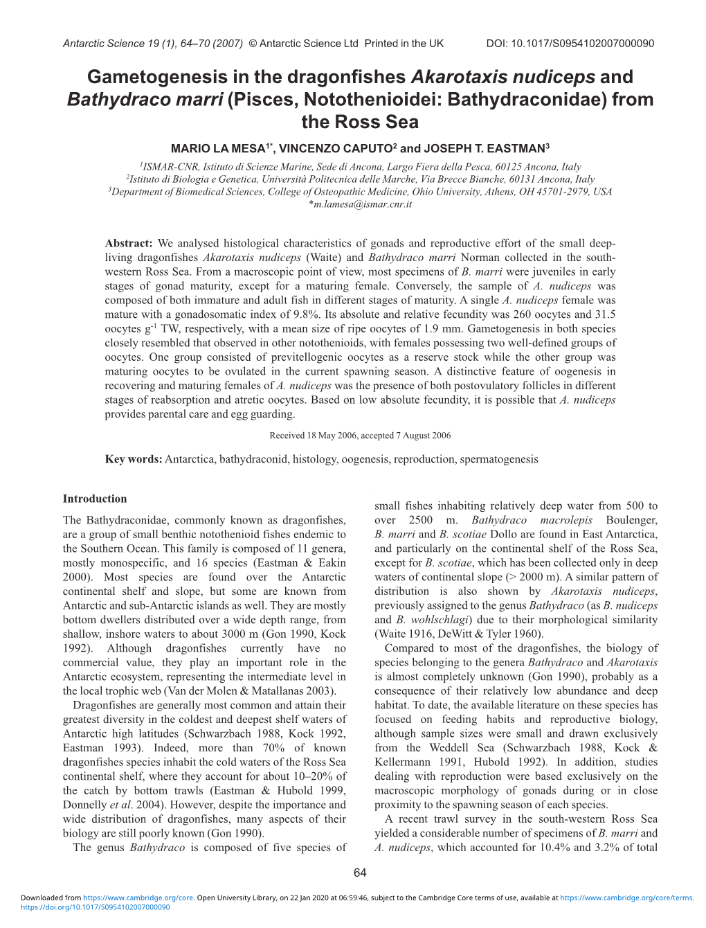 Gametogenesis in the Dragonfishes Akarotaxis Nudiceps and Bathydraco Marri