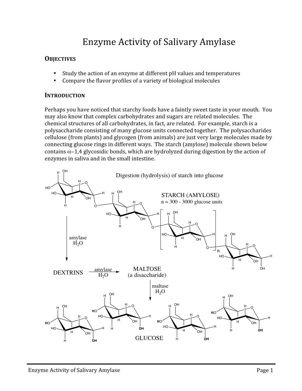 Enzyme Activity of Salivary Amylase