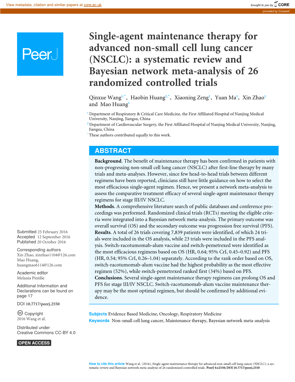 Single-Agent Maintenance Therapy for Advanced Non-Small Cell Lung Cancer