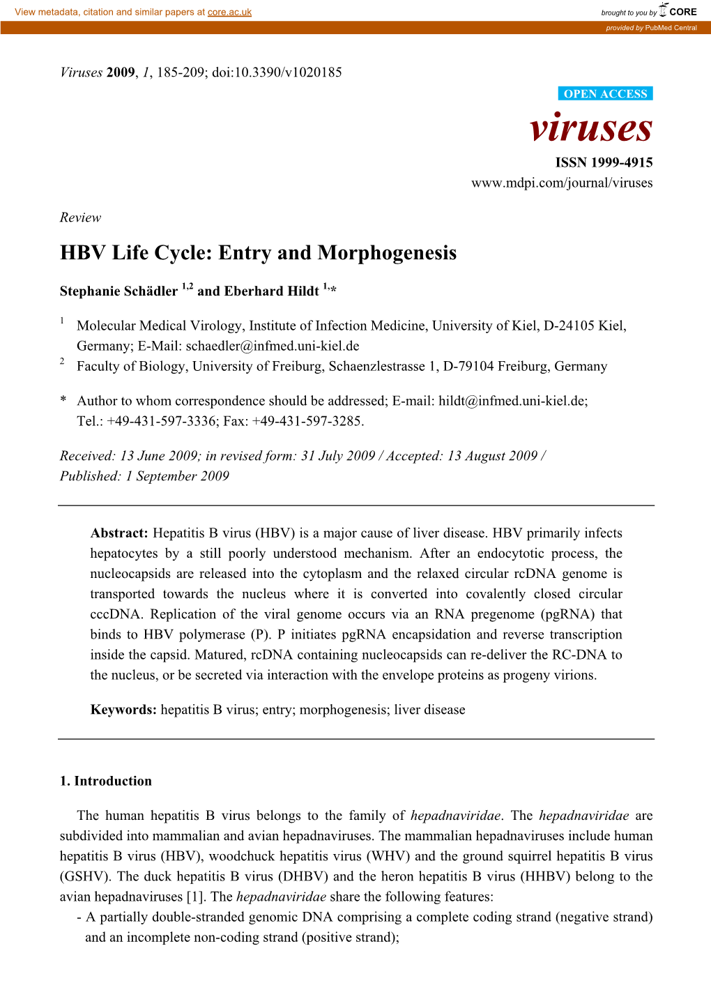 HBV Life Cycle: Entry and Morphogenesis