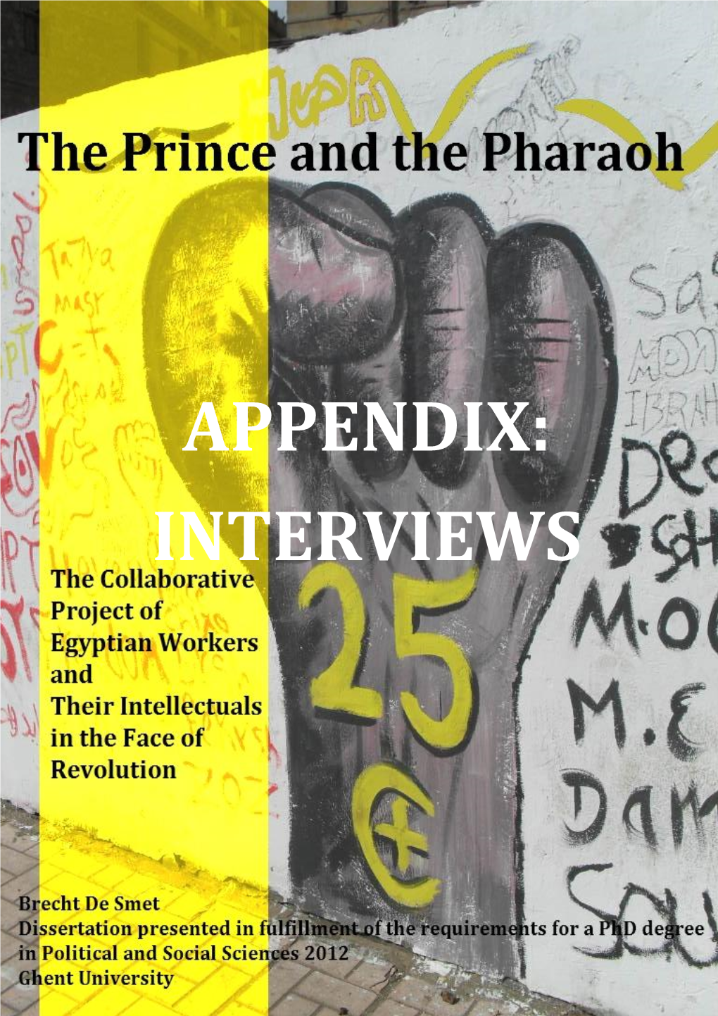 Appendix: Interviews