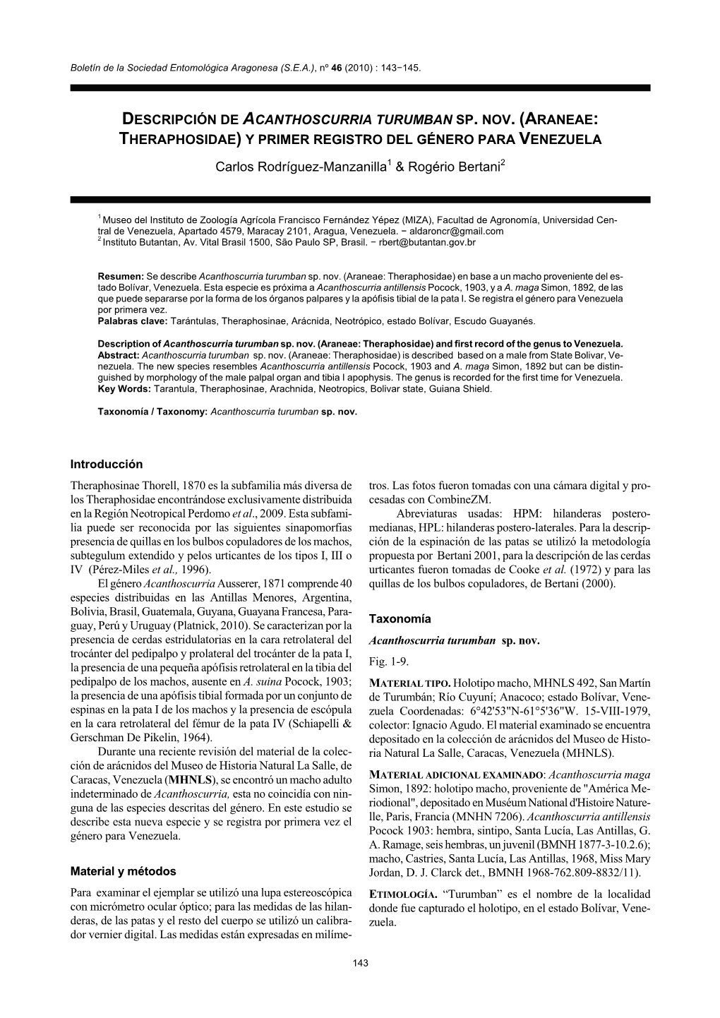 Descripción De Acanthoscurria Turumban Sp