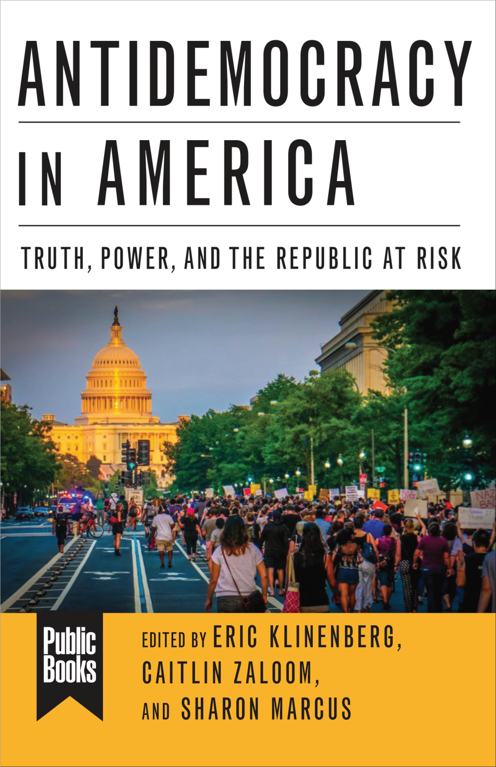 ANTIDEMOCRACY in AMERICA Public Books Series