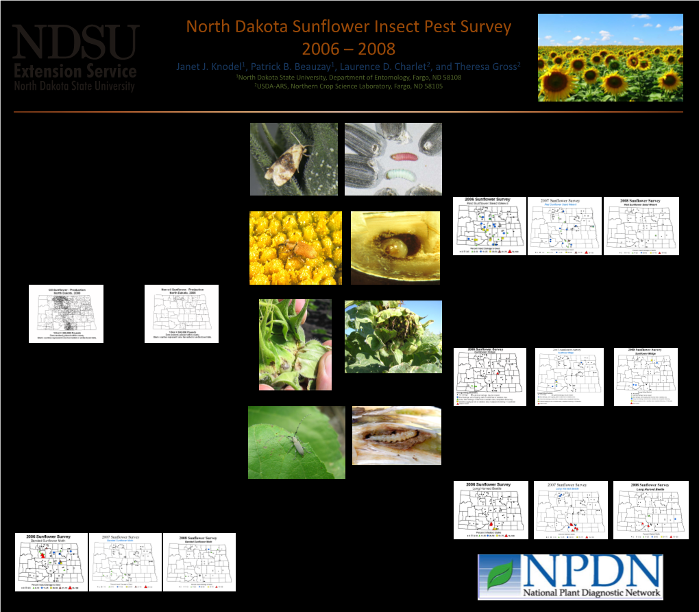 Knodel- North Dakota Sunflower Insect Pest Survey 2006-2008