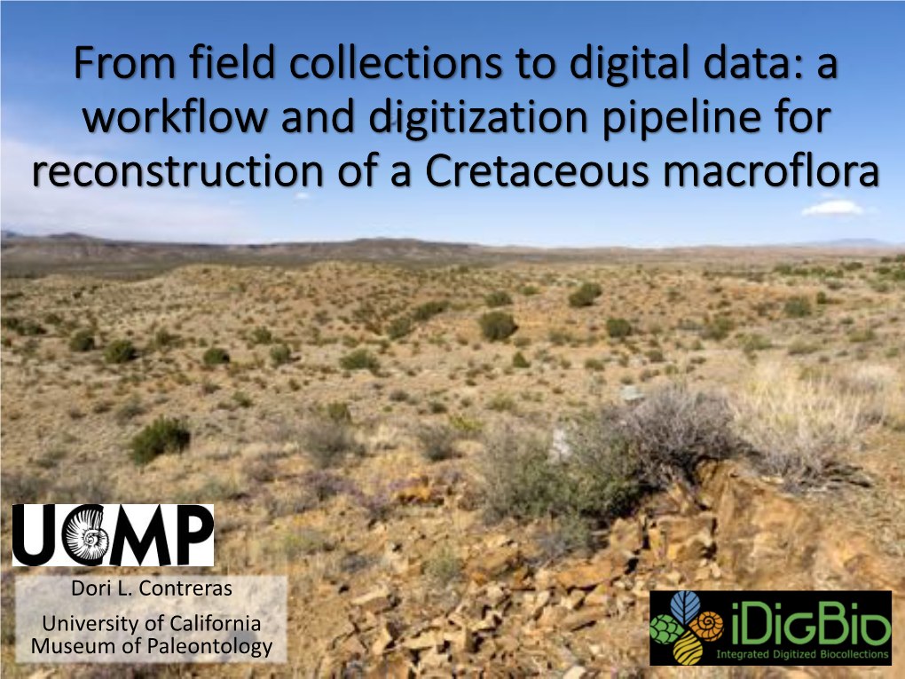 From Field Collections to Digital Data: a Workflow and Digitization Pipeline for Reconstruction of a Cretaceous Macroflora