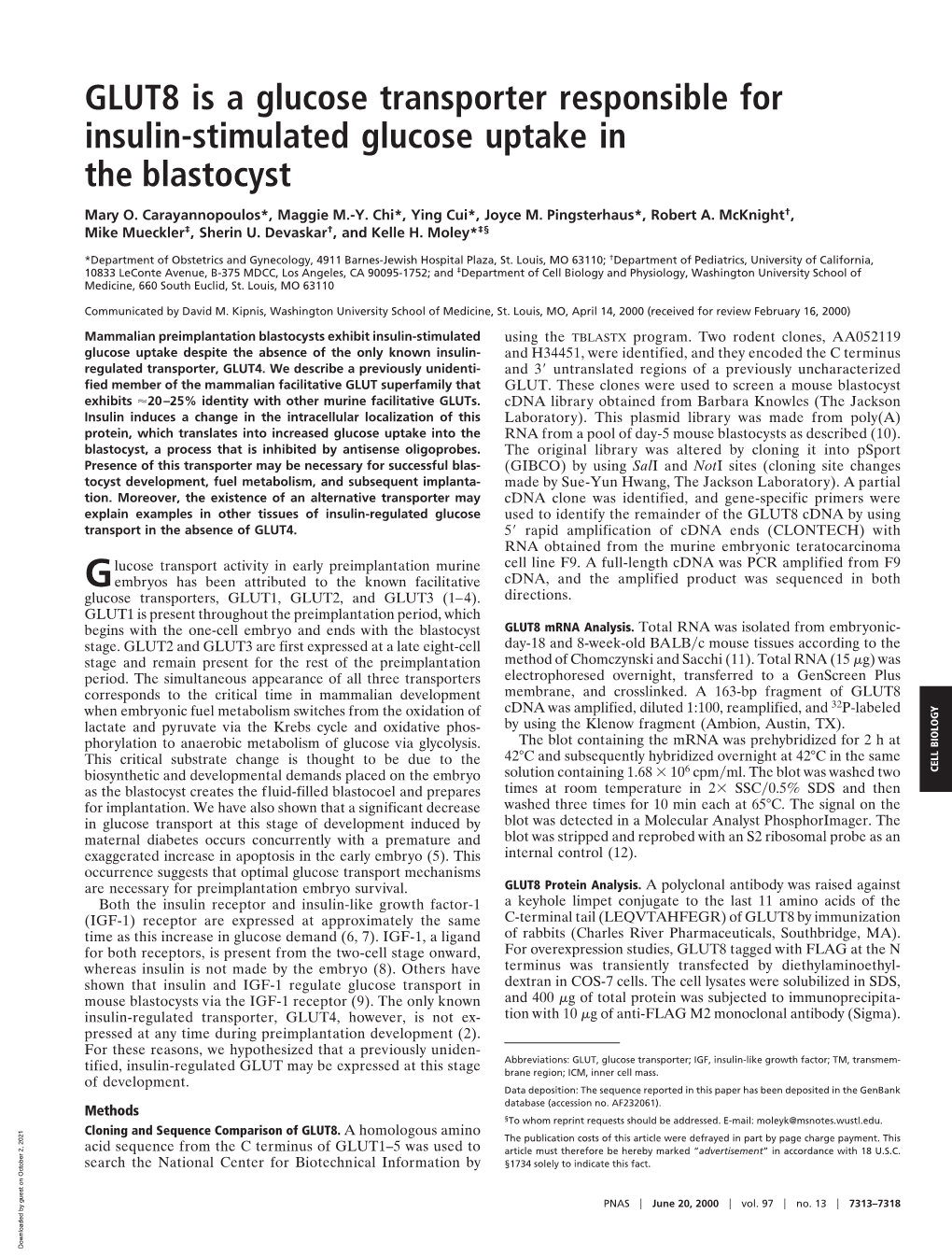 GLUT8 Is a Glucose Transporter Responsible for Insulin-Stimulated Glucose Uptake in the Blastocyst