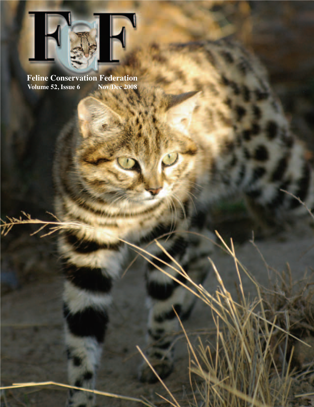 Feline Conservation Federation Volume 52, Issue 6 Nov/Dec 2008 Feline Conservation Federation Officers and Directors Contact Information